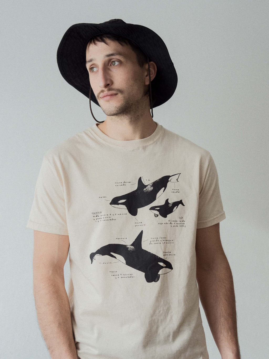 Remera Orcas de Patagonia