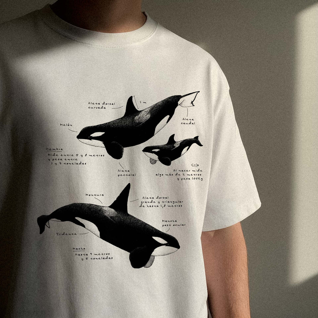 Remera Orcas de Patagonia