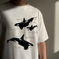 Remera Orcas de Patagonia